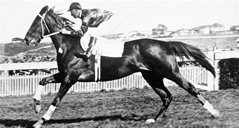 10 Interesting Facts About Phar Lap Owner Jockey