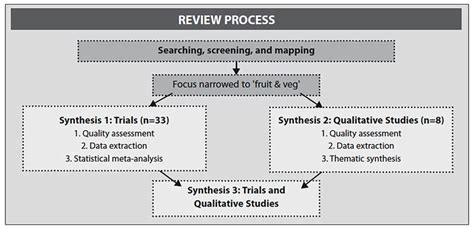 systematic literature review  mfawritingwebfccom