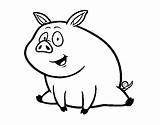 Granja Fazenda Maiale Porco Colorear Cerdito Fattoria Desenho Disegno Pig Ferme Cochon Porquet Acolore Zenon Utente Registrato Dibuix Capra Mangiare sketch template