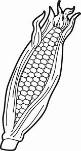 Corn Clipart Coloring Pages Clipartix sketch template