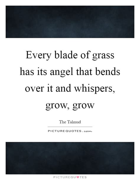 blade  grass   angel  bends    picture