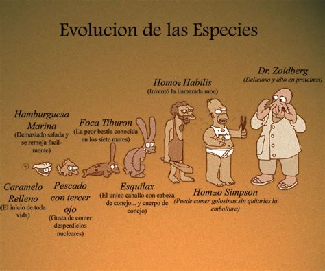 Origen De La Vida Y Evolucion De Las Especies Evolucion De Las Images