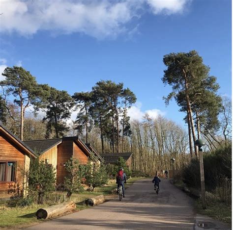 center parcs  locations accommodation accessible accommodation  travel services