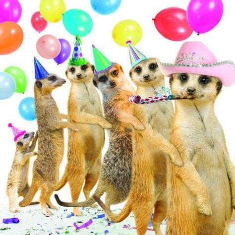 party happy birthday animals happy birthday bill animal birthday