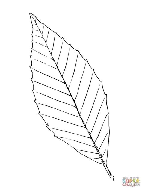 pin  cm customs  cool ideas leaf coloring page tree coloring