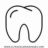 Cartoon Tooth sketch template