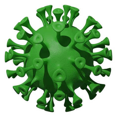 covid  coronavirus corona royalty  stock illustration image pixabay