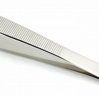 Image result for "forceps Forceps". Size: 193 x 160. Source: www.azream.us