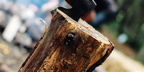 rueyada odun goermek kesmek toplamak ne anlama gelir diyadinnet rueya