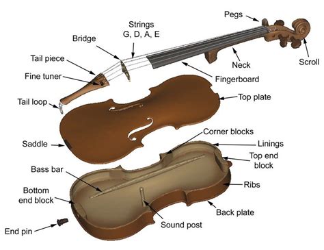 image result  parts   violin violin bridge michigan technological university antonio