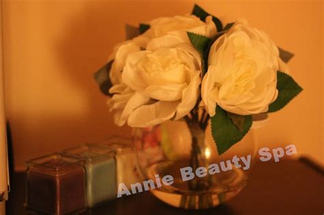 annie beauty spa    reviews  hungerford dr
