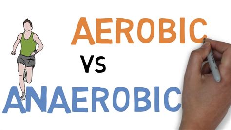 aerobic  anaerobic difference youtube
