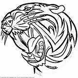 Tiger Coloring Roaring Sabertooth sketch template