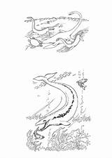 Aquatic Coloring Dinosaurs Pages Edupics sketch template