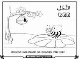 Islamic Kids Coloring Pages Bee Animals sketch template