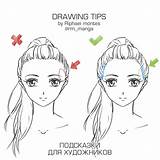 Ponytail Reference Ponytails Cavalo Rabo Guia Montes Faces Howto sketch template