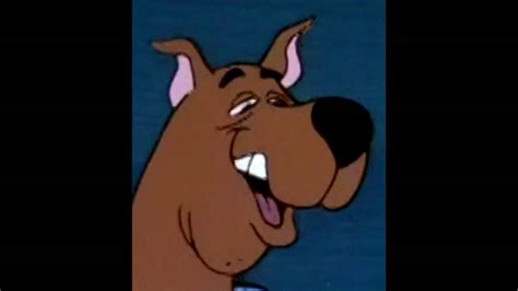 Scooby Doo Funny Faces Youtube