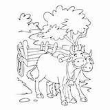 Bullock Coloring Pages Bull Cart Drawing Matador Toddler Cute Designlooter Getdrawings Mining Getcolorings sketch template