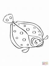 Flounder Coloring Pages Fish Sebastian Kids Drawing Printable Getcolorings Supercoloring Flounders sketch template