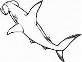 Shark Hammerhead Drawing Coloring Outline Tattoo Great Sharks Pages Whale Kids Drawings Color Print Printable Sketch Watercolor Pencil Clipartmag Getdrawings sketch template