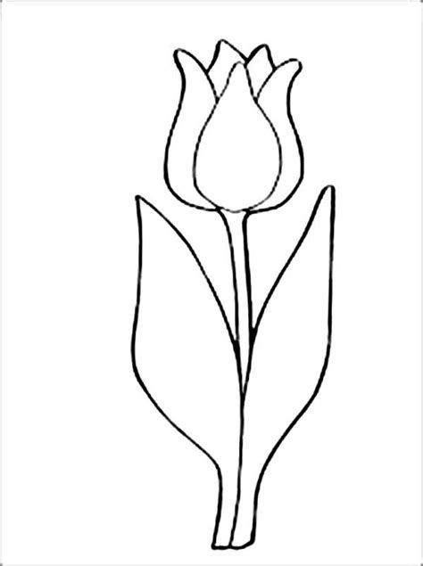 simple drawing  parrot tulip coloring page tulip drawing