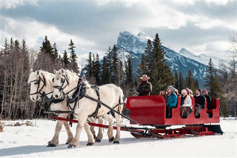 horse drawn sleigh ride  banff