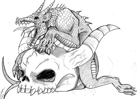 printable adult dragon coloring pages coloring home