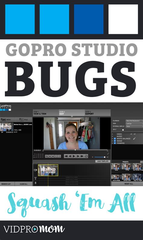 gopro studio bugs squash em gopro gopro photography gopro diy
