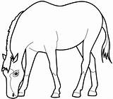 Coloring Horse sketch template