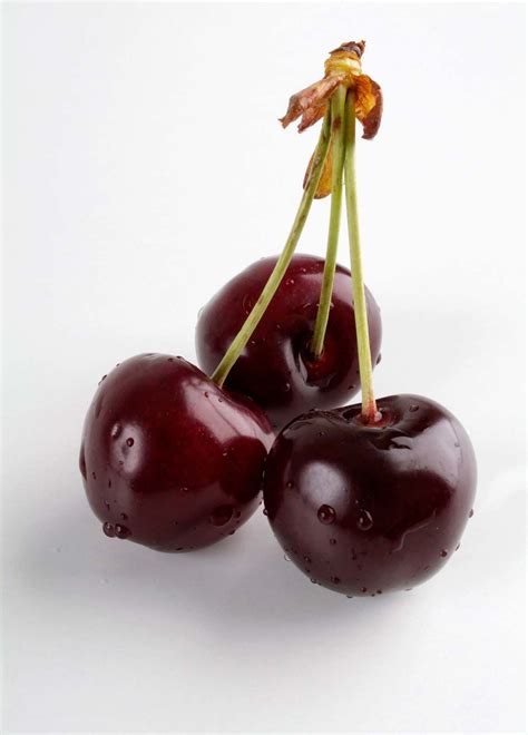Cherry Definition Trees Fruits Types Cultivation And Facts