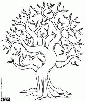 fall tree coloring page tree coloring page fall coloring pages