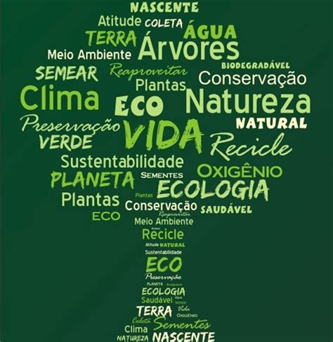 Cartaz Ideias Para O Dia Do Meio Ambiente Kashmittourpackage