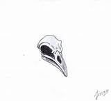 Crow Skull Drawing Paintingvalley Drawings sketch template