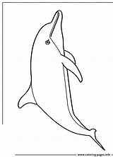 Dolphin Coloring Pages Cartoon Cute Dolphins Printable Draw Print Drawings Kids Beautiful Book Color Learn Lessons sketch template