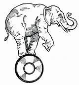 Circus Elephant Coloring Getcolorings sketch template
