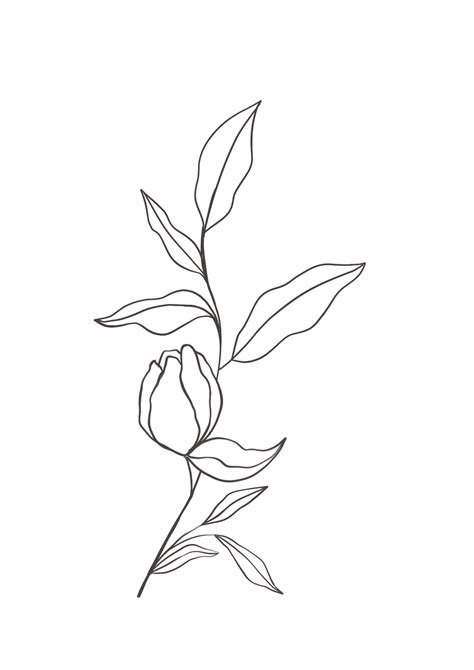 drawing  flowers png images transparent background png play