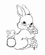 Coloring Bunny Pages Baby Cute Popular sketch template