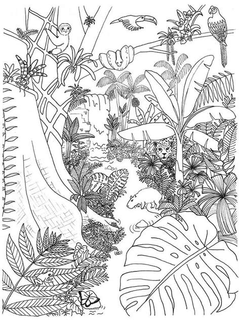 jungle tree coloring page