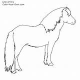 Newfoundland Pony Stallion Coloring Pages Mummers Own Color Template Line Kids Choose Board sketch template