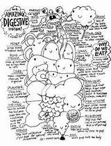 Digestive sketch template