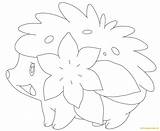 Shaymin Coloring Pokemon Pages Land Form Color Online Printable Getcolorings Coloringpagesonly sketch template