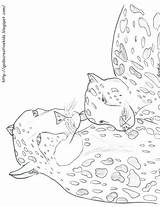 Cheetah Chill Ray Printable Click sketch template
