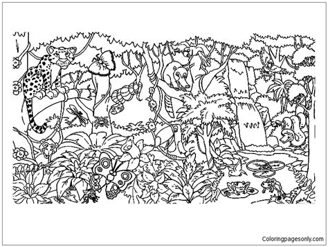forest animals coloring page  printable coloring pages