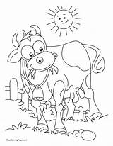 Coloring Cow Eating Grass Pages Bathing Sun Kid Kids Drawing Pattern Animals Cartoon Colour Choose Board sketch template