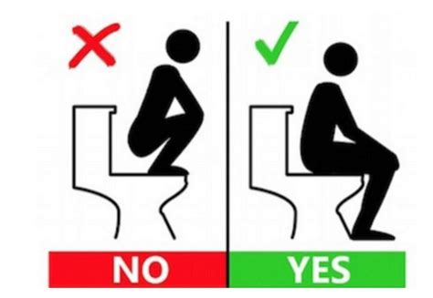 Do You Squat Or Sit Bizarre Toilet Etiquette Signs ‘aimed