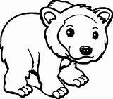 Coloring Kodiak Grizzly sketch template