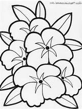 Hawaiian Coloring Flowers Pages Getcolorings Printable Color sketch template