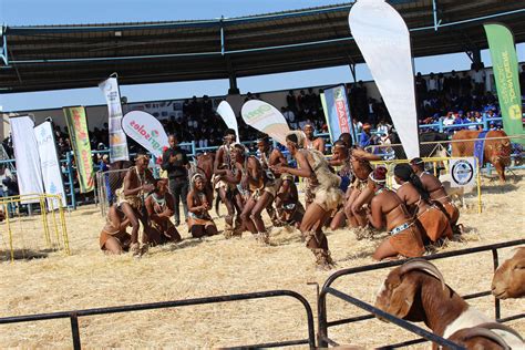 Botswana Traditional Dance Group At The Show Ccardesa