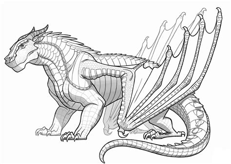 dragon colouring  pictures  print share  thoughts