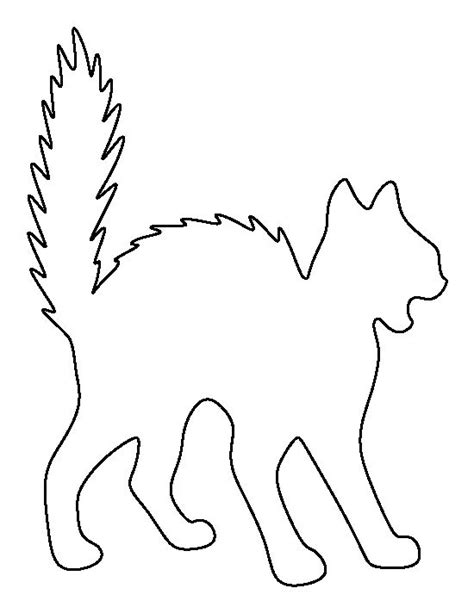 black  white outline   cat